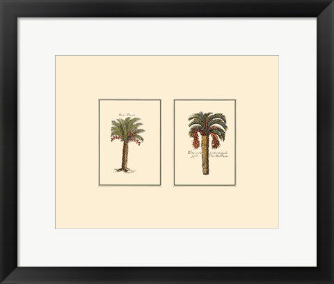 Framed Miniature Palm IV Print