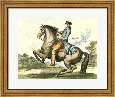 Framed Equestrian Training IV Print