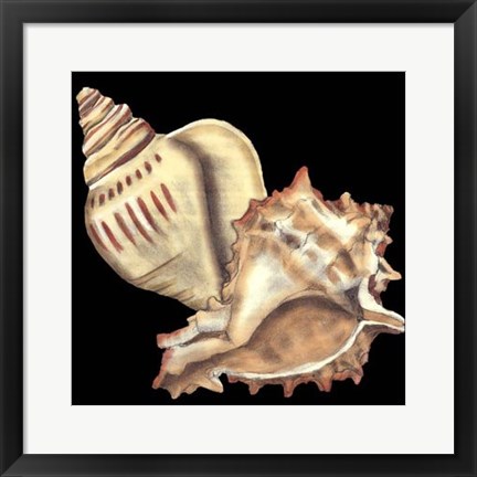 Framed Tandem Shells I Print