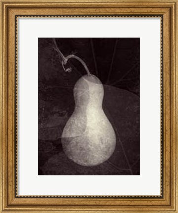 Framed Gourd I Print
