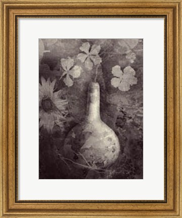 Framed Gourd II Print