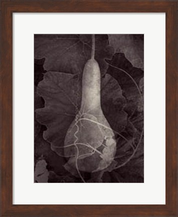 Framed Gourd III Print