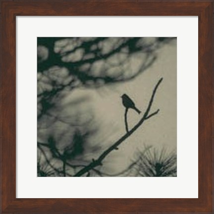 Framed Caligraphy Bird I Print