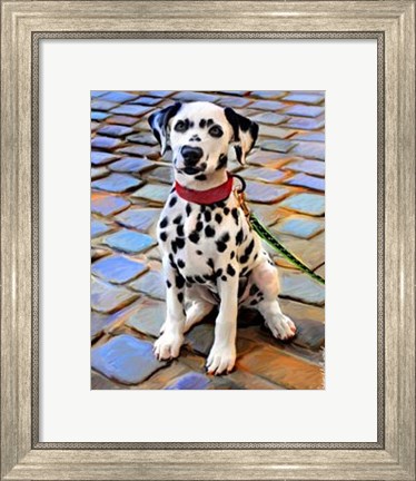 Framed Dalmatian Puppy Print
