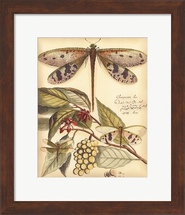Framed Whimsical Dragonflies I Print