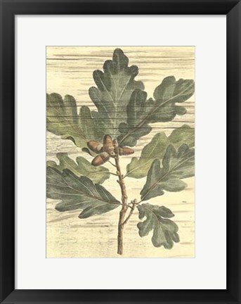 Framed Weathered Oak Leaves I Print