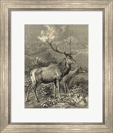 Framed Vintage Roe Deer II Print