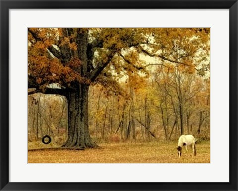 Framed Lone Horse Grazing Print