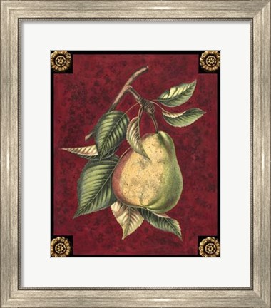 Framed Poire D&#39;Arenburg Print