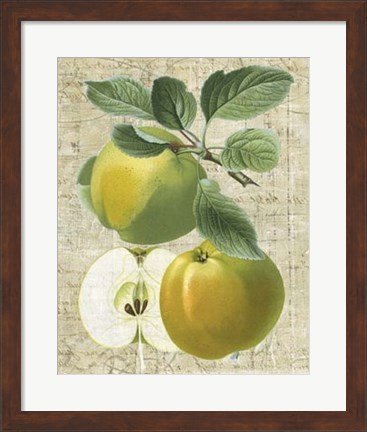 Framed Orchard Medley I Print