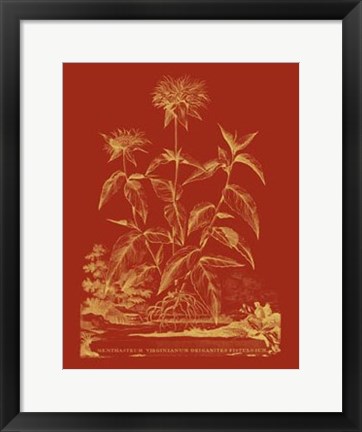 Framed Paprika Bouquet II Print