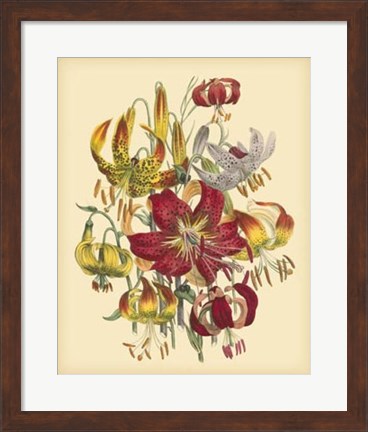 Framed Garden Bouquet III Print
