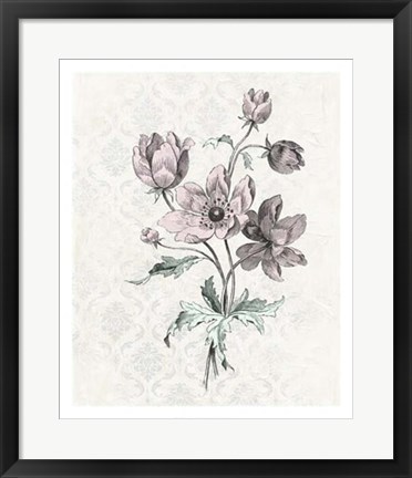 Framed Victorian Blooms II Print