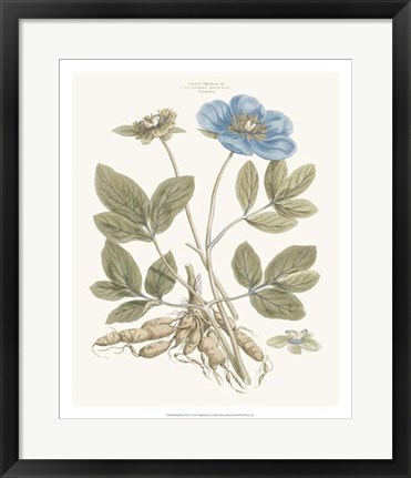 Framed Bashful Blue Florals I Print