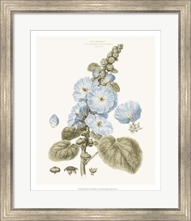 Framed Bashful Blue Florals IV Print