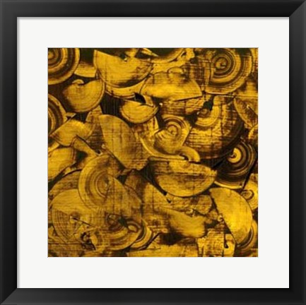 Framed Nautilus in Gold I Print