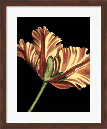 Framed Vibrant Tulips I Print