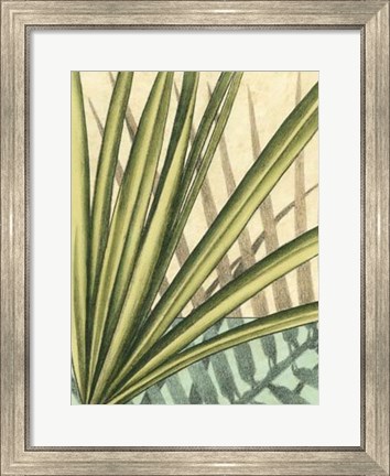 Framed Tropical Shade II Print