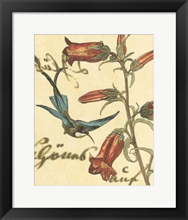 Framed Hummingbird Reverie I Print