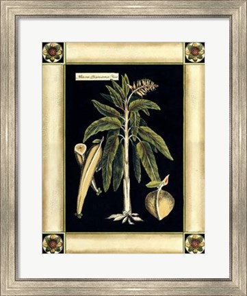 Framed Paradise Palm VI Print