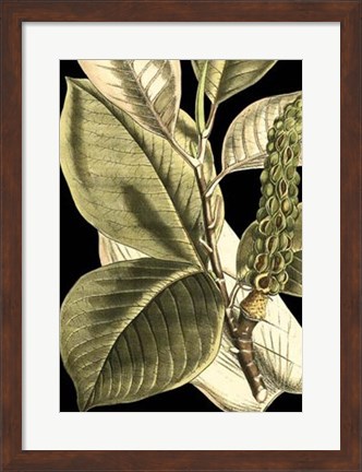 Framed Tranquil Tropical Leaves II Print
