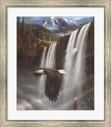 Framed Eagle Portrait Print