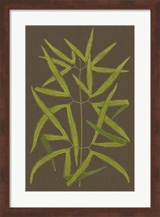 Framed Ferns on Linen I Print