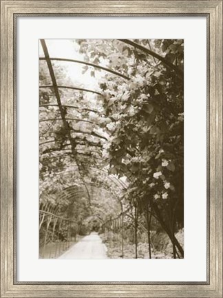 Framed Royal Botanical Garden, Madrid Print