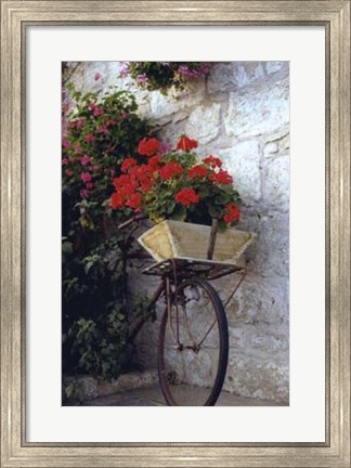 Framed Flower Box Bike Print