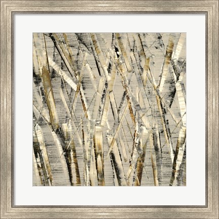 Framed Birches V Print
