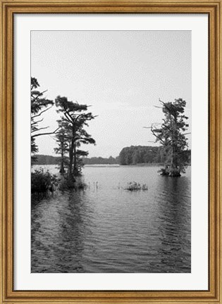 Framed Riverscape II Print