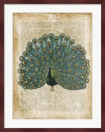 Framed Antiquarian Birds V Print