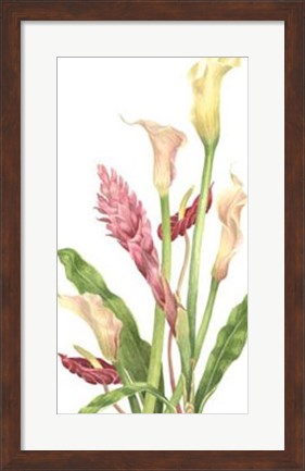 Framed Tropical Bouquet II Print