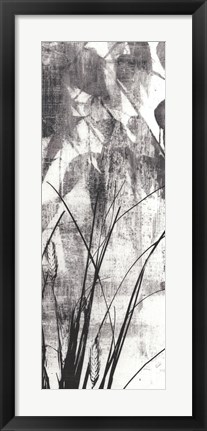 Framed Exposure IV Print