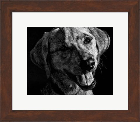 Framed Canine Scratchboard XXIII Print