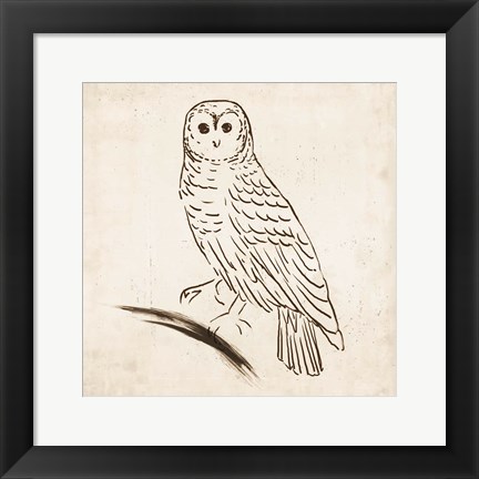 Framed Owl I Print