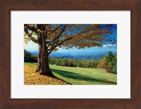 Framed Blue Ridge Beauty Print