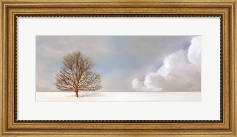 Framed Alone in the Whiteness Print