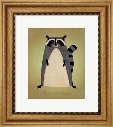 Framed Artful Raccoon Print
