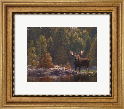 Framed North Country Moose Print