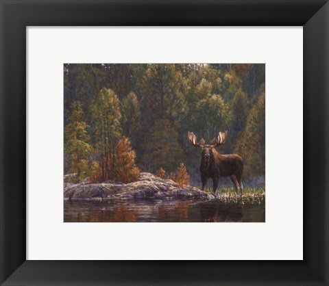 Framed North Country Moose Print