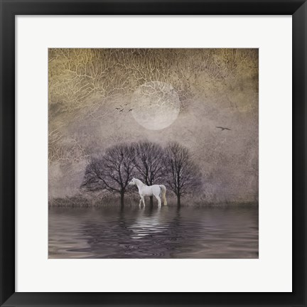 Framed White Horse in Pond Print