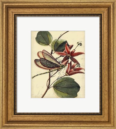 Framed Petite Dragonflies III Print