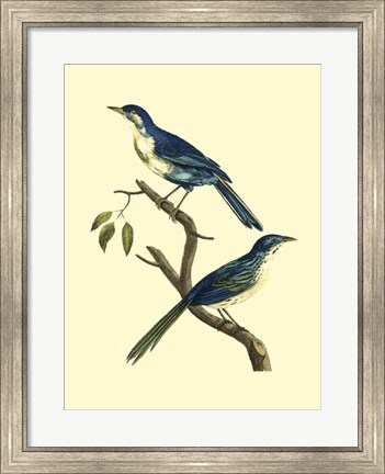 Framed Vintage Bird Pair II Print