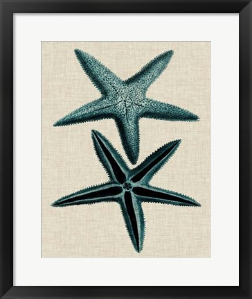 Framed Coastal Starfish III Print