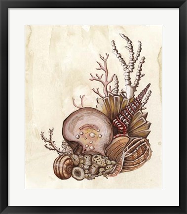 Framed Baroque Nautilus I Print
