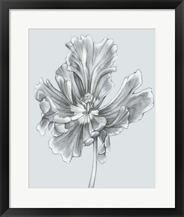 Framed Silvery Blue Tulips III Print