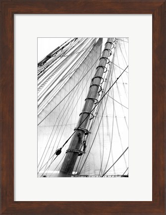Framed Set Sail VI Print