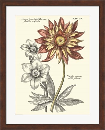 Framed Tinted Floral III Print