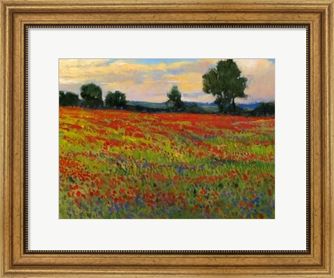 Framed Red Field II Print